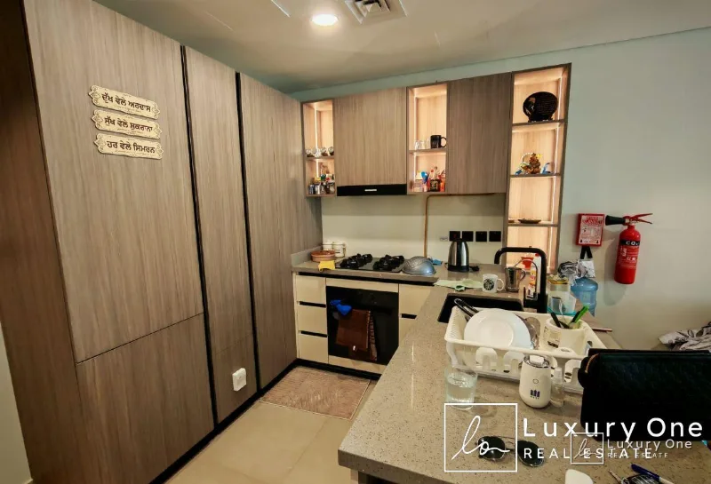 Furnished 1BR | Brand New | Ready to Move photo 4